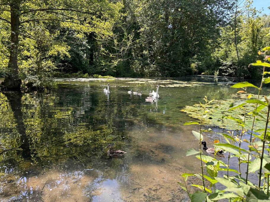 Вілла L'Impasse - Au Bord De L'Eau Epagne-Epagnette Екстер'єр фото